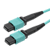 Toon details voor patchcord MultiMode MPO8 fem>fem  10m OM3 B2ca-s1ad1a1 EasyFiber Aqua Afbeelding van patchcord MultiMode MPO8 fem>fem  10m OM3 B2ca-s1ad1a1 EasyFiber Aqua