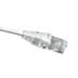 Toon details voor patchkabel CAT6A U/UTP 4P28 SLIM PVC wit RJ45 snagless 1,0m SCP 10G Afbeelding van patchkabel CAT6A U/UTP 4P28 SLIM PVC wit RJ45 snagless 1,0m SCP 10G