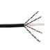 Toon details voor datakabel CAT6 U/UTP 550MHz 4PxAWG23 Dca-s1 zwart SCP DS305 Afbeelding van datakabel CAT6 U/UTP 550MHz 4PxAWG23 Dca-s1 zwart SCP DS305