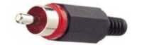 Picture of RCA steker pvc zwart/rood